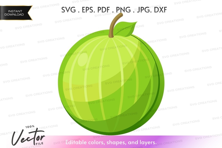 Apple Vector Image 2