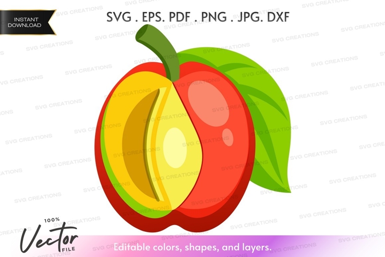 Peach Vector Image 14