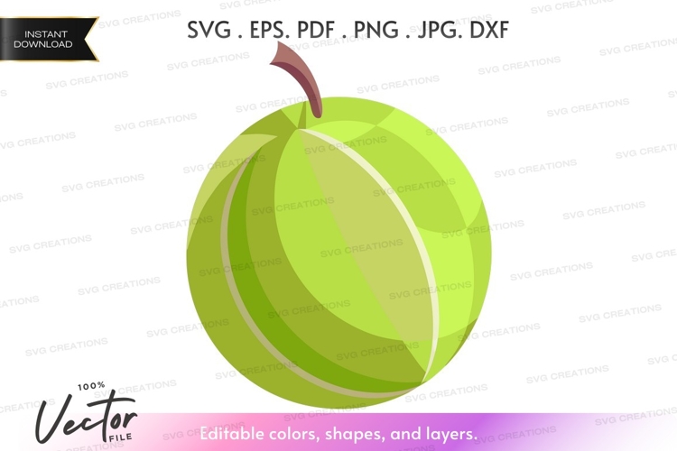 Apple Vector Image 14