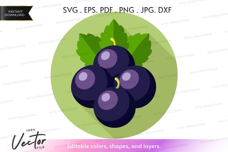 Fruit Vector Image 17