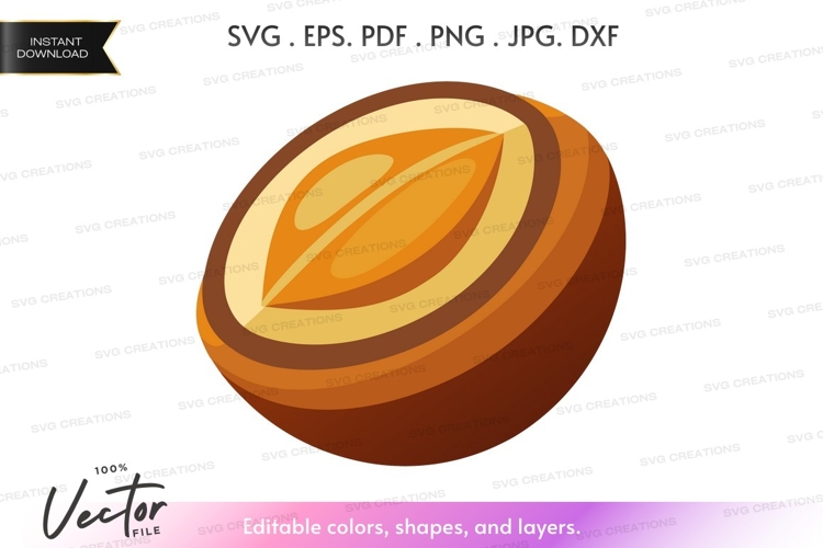 Vector clipart of a hazelnut