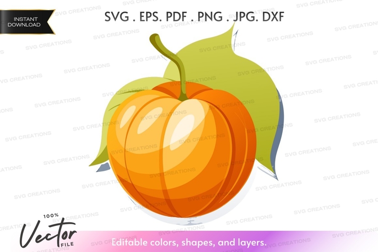 Fruit Vector Image 11