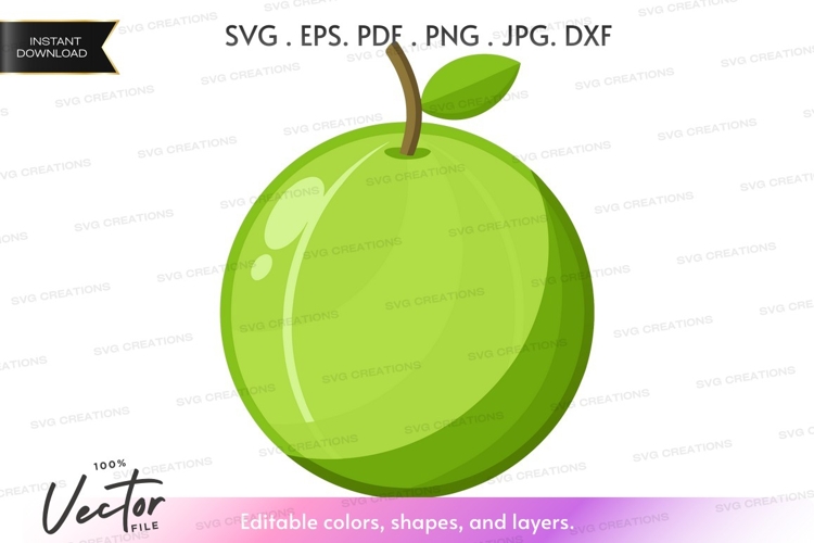 Apple Vector Image 10