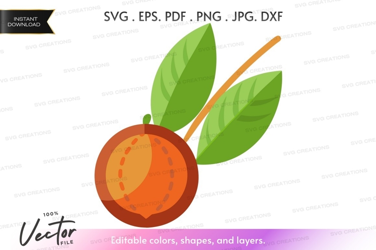 Citrus Clipart Image 10