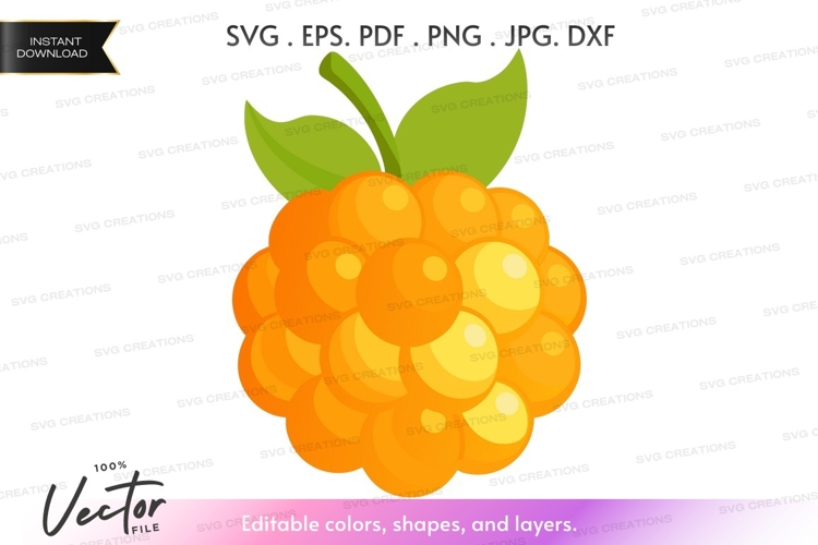 Citrus Clipart Image 2