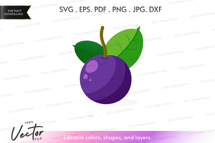 Plum Clipart Image 14