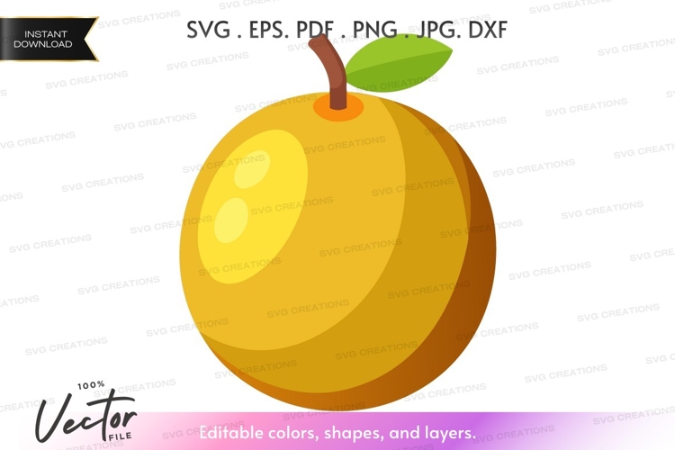 Apple Vector Image 5