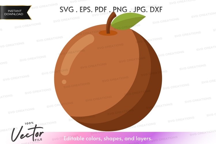 Apple Vector Image 3