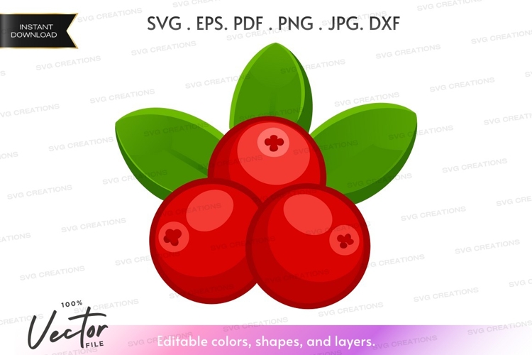 Fruit Vector Image 5