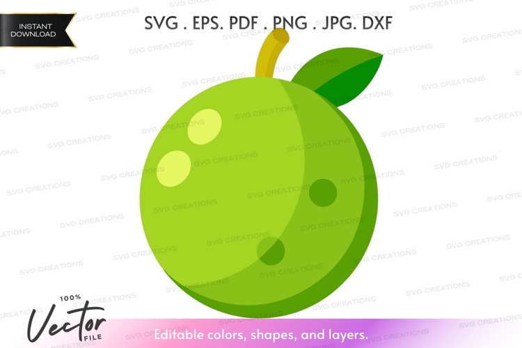 Apple Vector Image 14