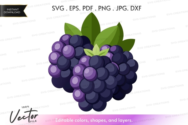 Blackberry cluster vector clipart