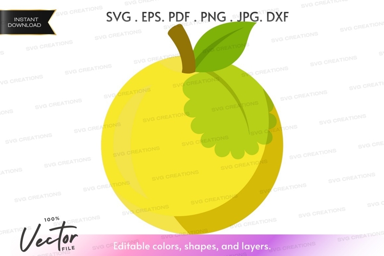 Apple Vector Image 2