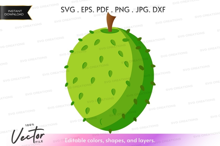 Fruit Vector Image 22