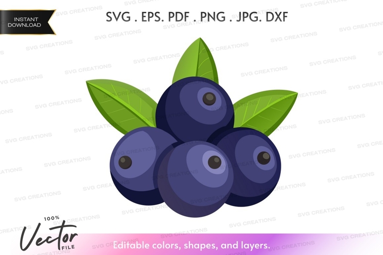 Fruit Vector Image 4