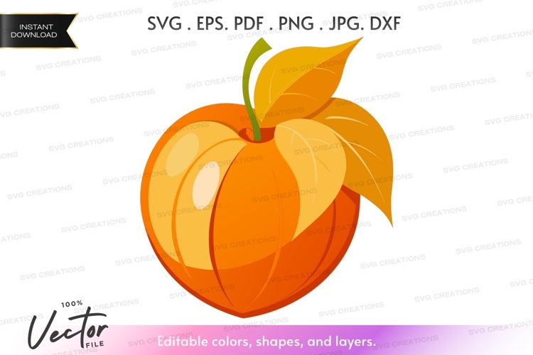 Peach Vector Image 13