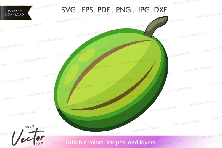 Mango Illustration Image 15