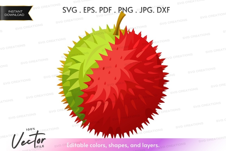 Fruit Vector Image 21