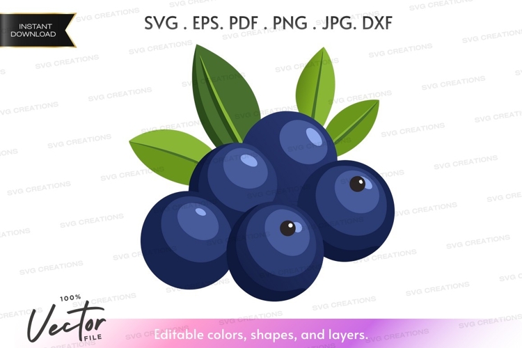 Fruit Vector Image 3