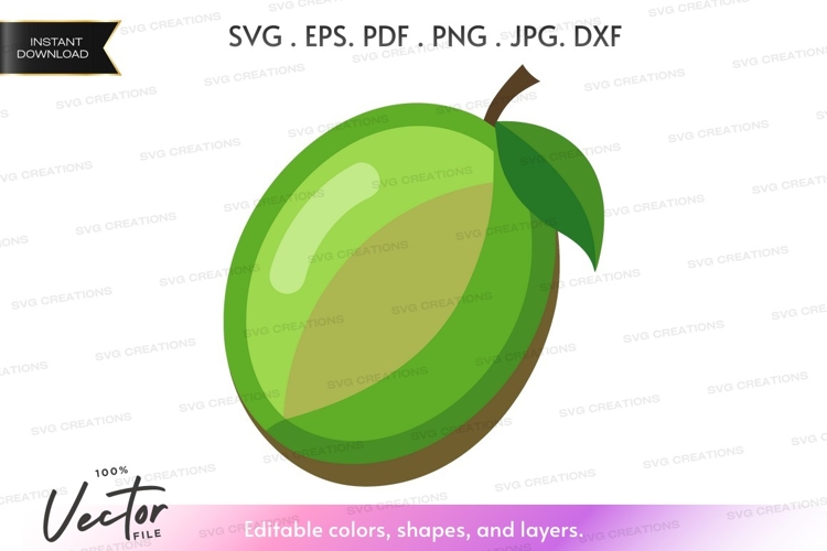 Mango Illustration Image 14