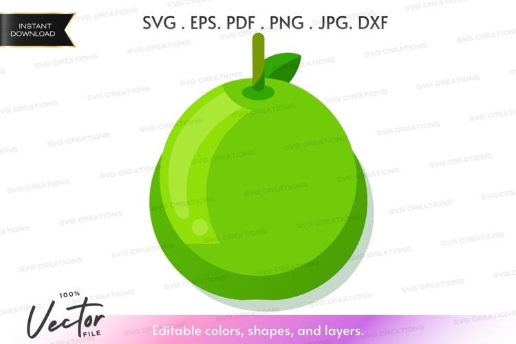 Apple Vector Image 20