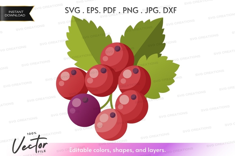 Fruit Vector Image 2