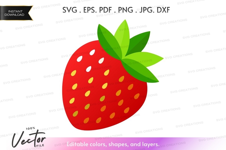 Strawberry Illustration Image 9