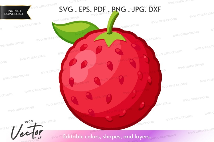 Strawberry Illustration Image 8