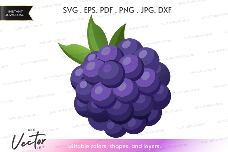 Blackberry Clipart Image 22