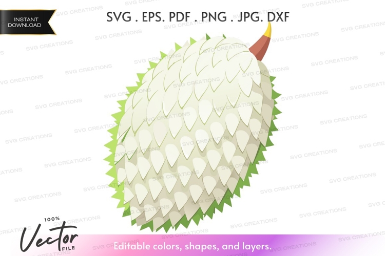Fruit Vector Image 19