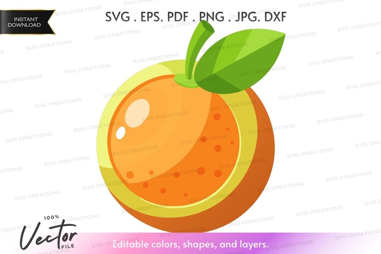 Fruit Vector Image 18