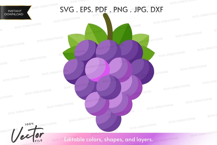 Fruit Vector Image 23