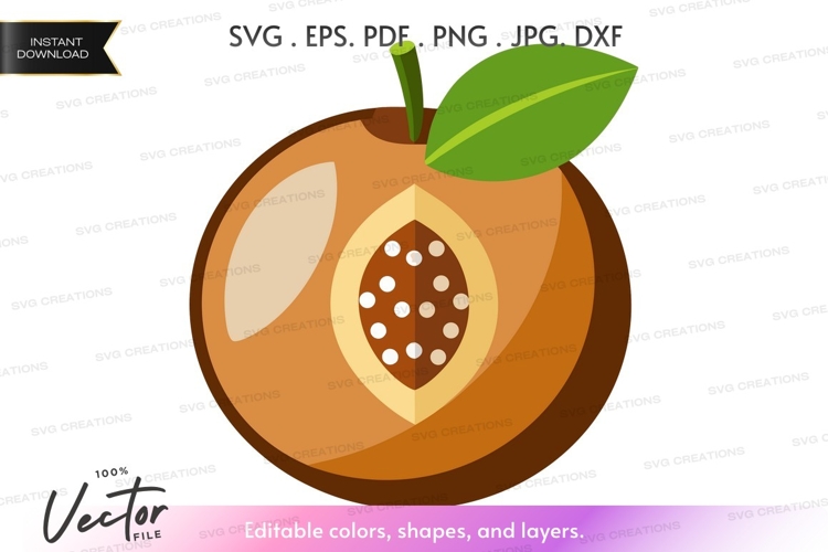 Seed Clipart Image 11