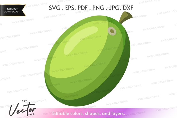 Mango Illustration Image 19
