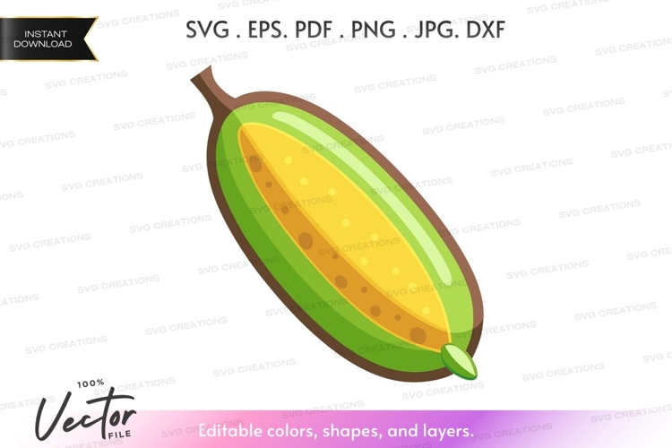 Bean Clipart Image 16