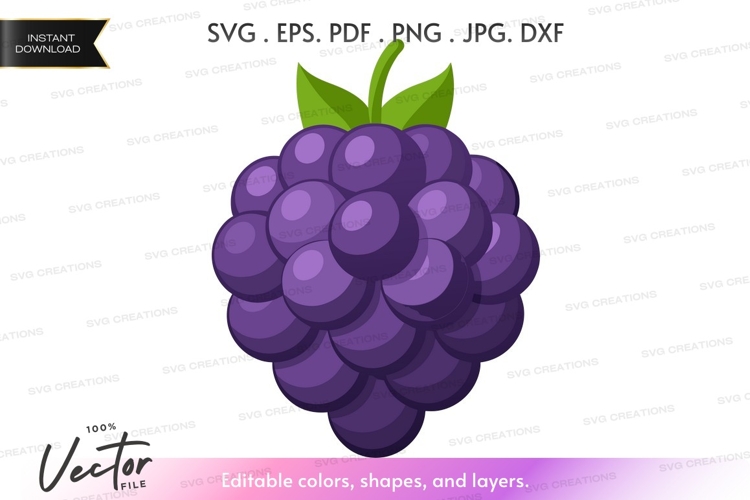 Vector clipart of a blackberry