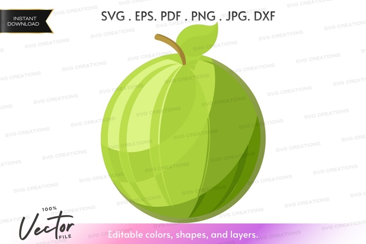 Apple Vector