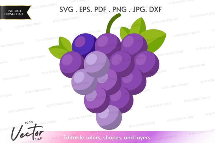 Fruit Vector Image 11