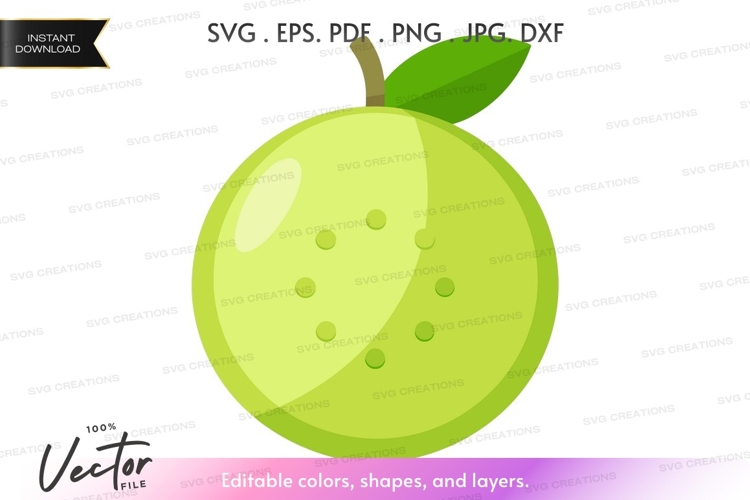 Apple Vector Image 23