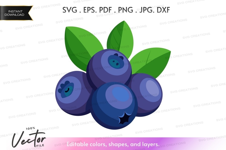 Fruit Vector Image 9