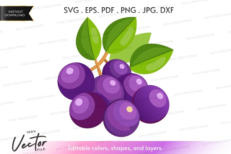 Fruit Vector Image 7