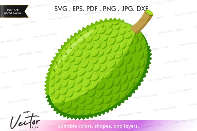 Fruit Vector Image 6