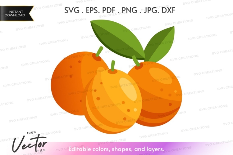 Citrus Clipart Image 22