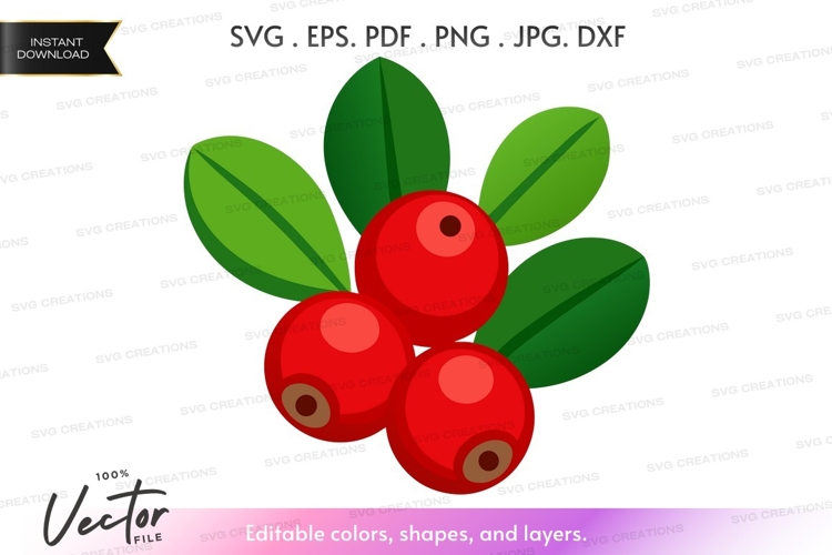Fruit Vector