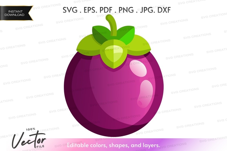 Fruit Vector Image 17