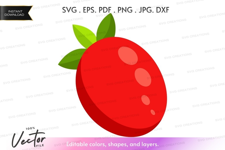 Pomegranate Clipart Image 12