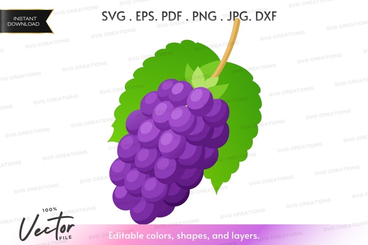 Fruit Vector Image 13