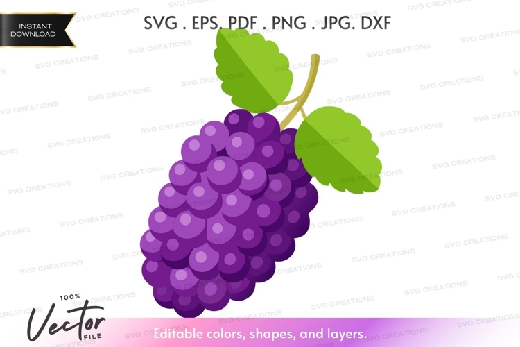 Fruit Vector Image 12