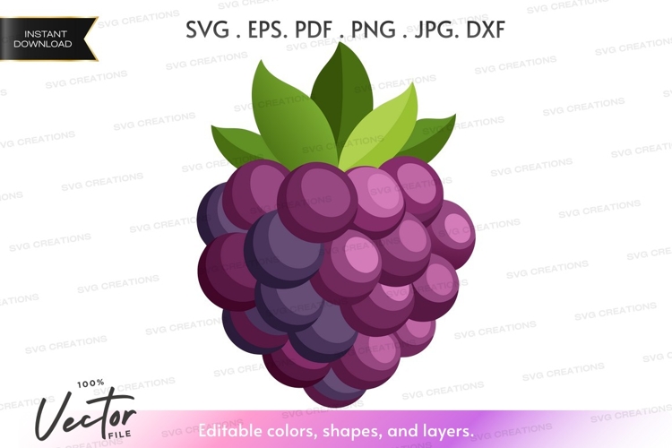 Blackberry Clipart Image 23