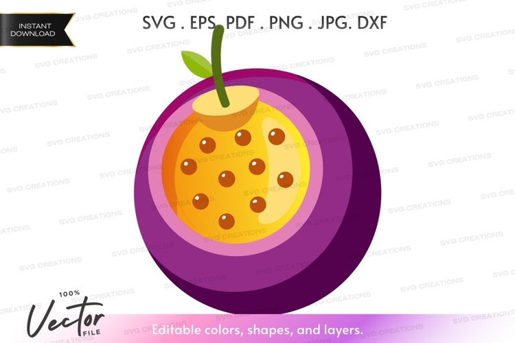 Fruit Vector Image 6