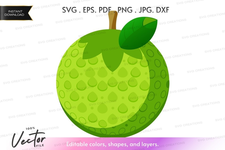 Green jackfruit vector clipart